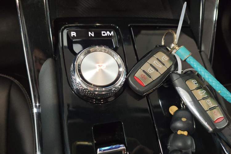 Used Haval H6 2021 3rd Generation 1.5T Automatic Two-Wheel Drive Pro Gear Lever