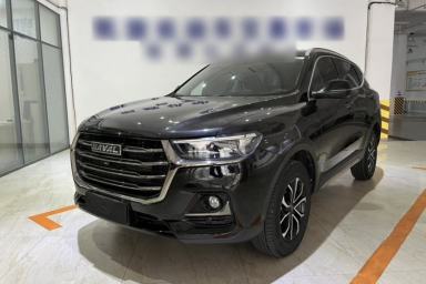 Used Haval H6 2021 National Trend Edition 1.5T Automatic Urban Version