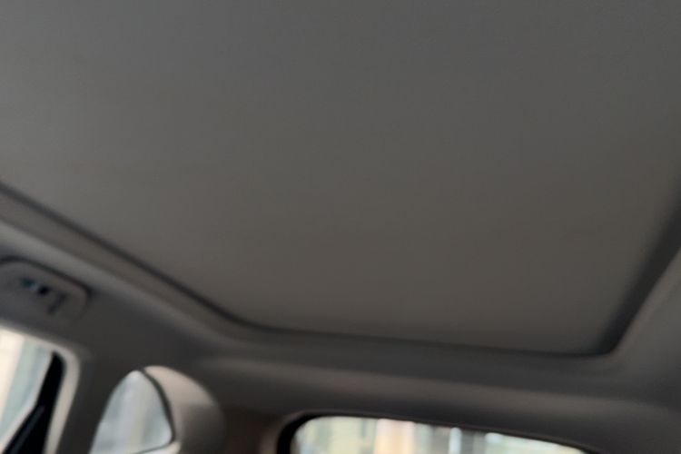Used Haval H6 2021 3rd Generation 1.5T Automatic Two-Wheel Drive Pro Headliner