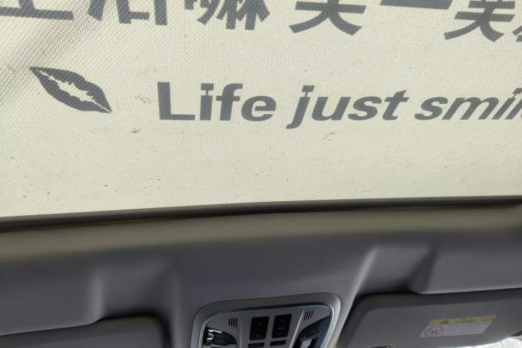 Used Haval H6 2021 1.5T Automatic Champion Edition Headliner