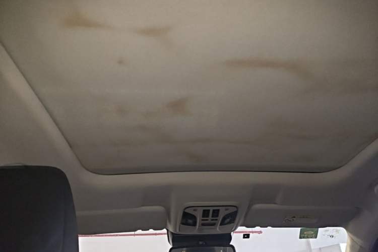 Used Haval H6 2021 1.5T Automatic Champion Edition Headliner