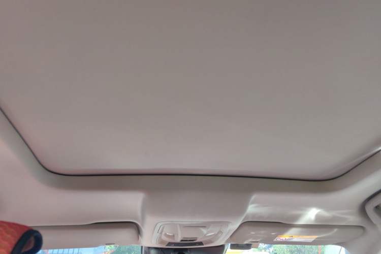 Used Haval H6 2021 3rd Generation 2.0T Automatic Two-Wheel Drive Max Headliner