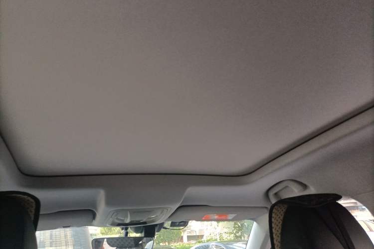 Used Haval H6 2021 3rd Generation 1.5T Automatic Two-Wheel Drive Pro Headliner