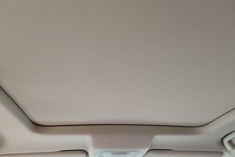 Used Haval H6 2021 3rd Generation 1.5T Automatic Two-Wheel Drive Max Headliner