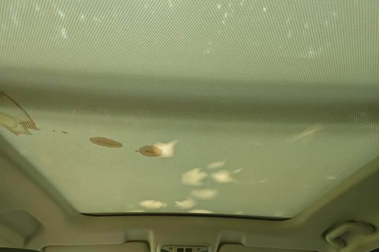 Used Haval H6 2021 1.5T Automatic Urban Edition Headliner