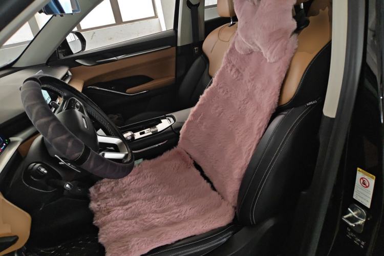 Used Haval H6 2021 3rd Generation 1.5T Automatic Two-Wheel Drive Max Left Front Seat