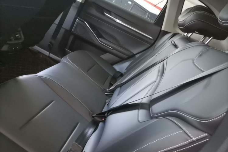 Used Haval H6 2021 3rd Generation 2.0T Automatic Two-Wheel Drive Max Left Rear Seat