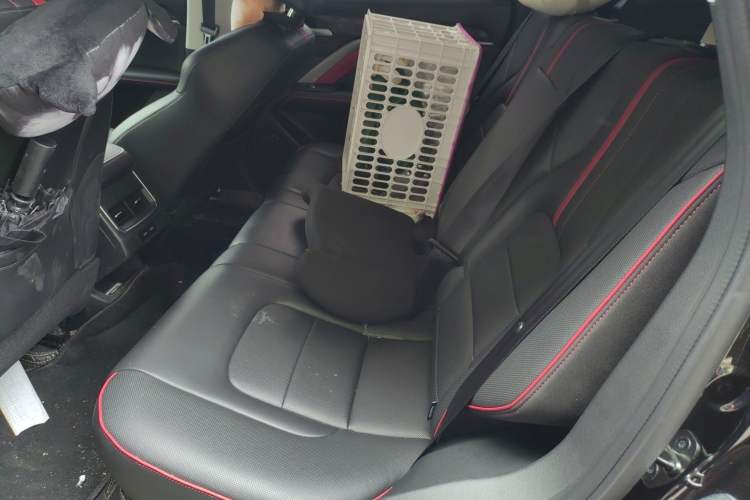 Used Haval H6 2021 National Trend Edition 1.5T Automatic Urban Version Left Rear Seat