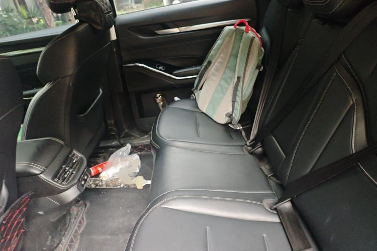 Used Haval H6 2021 3rd Generation 1.5T Automatic Two-Wheel Drive Supreme+ Left Rear Seat