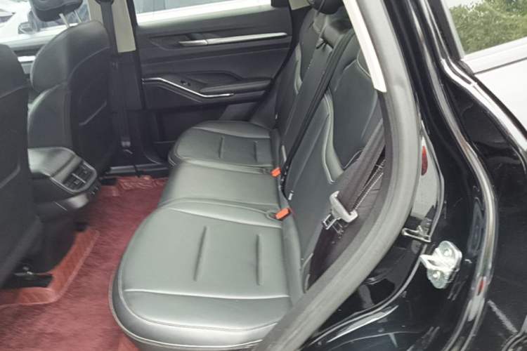 Used Haval H6 2021 3rd Generation 1.5T Automatic Two-Wheel Drive Supreme+ Left Rear Seat