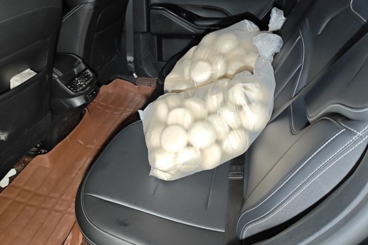 Used Haval H6 2021 3rd Generation 1.5T Automatic Two-Wheel Drive Max Left Rear Seat