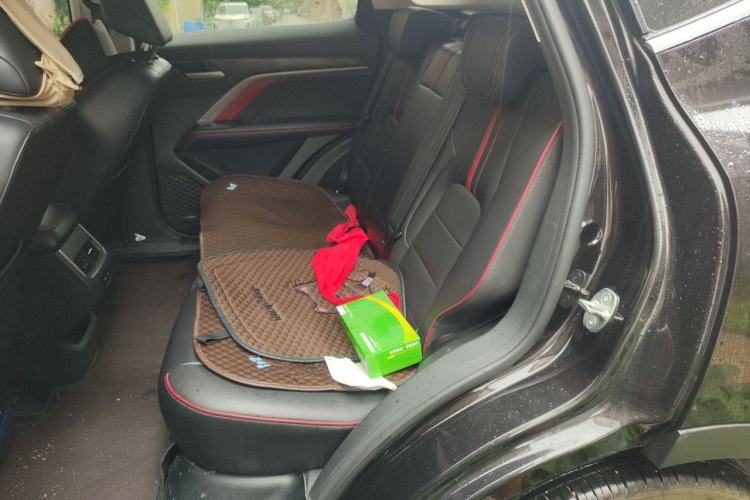 Used Haval H6 2021 National Trend Edition 1.5T Automatic Urban Version Left Rear Seat