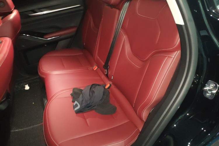 Used Haval H6 2021 3rd Generation 1.5T Automatic Two-Wheel Drive Pro Left Rear Seat