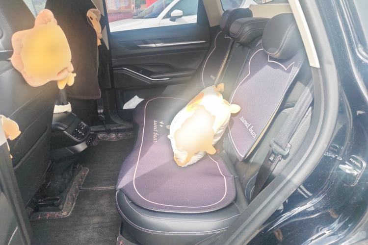 Used Haval H6 2021 3rd Generation 1.5T Automatic Two-Wheel-Drive Supreme Left Rear Seat