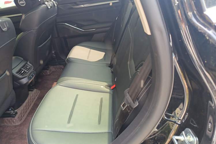 Used Haval H6 2021 3rd Generation 2.0T Automatic Two-Wheel Drive Max Left Rear Seat