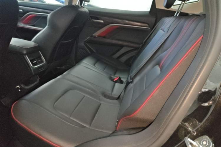 Used Haval H6 2021 National Trend Edition 1.5T Automatic Urban Version Left Rear Seat