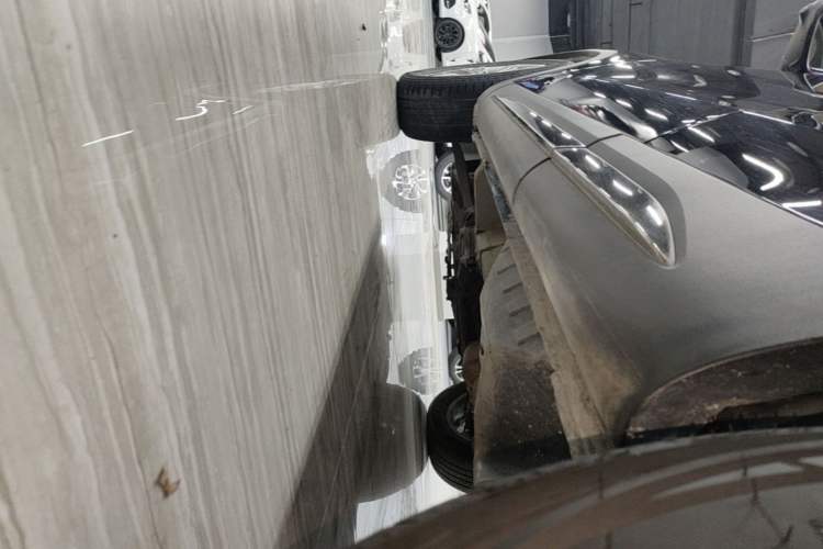 Used Haval H6 2021 National Trend Edition 1.5T Automatic Champion Version Left Side Sill
