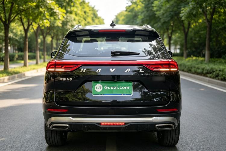 Used Haval H6 2021 National Trend Edition 1.5T Automatic Champion Version Rear