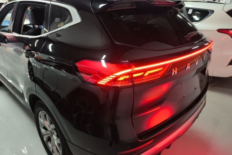 Used Haval H6 2021 National Trend Edition 1.5T Automatic Champion Version Rear
