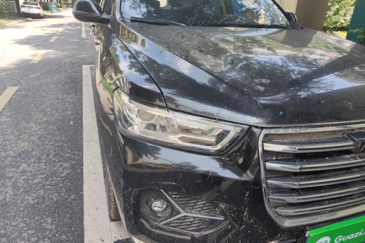 Used Haval H6 2021 1.5T Automatic Urban Edition Right Front Headlight