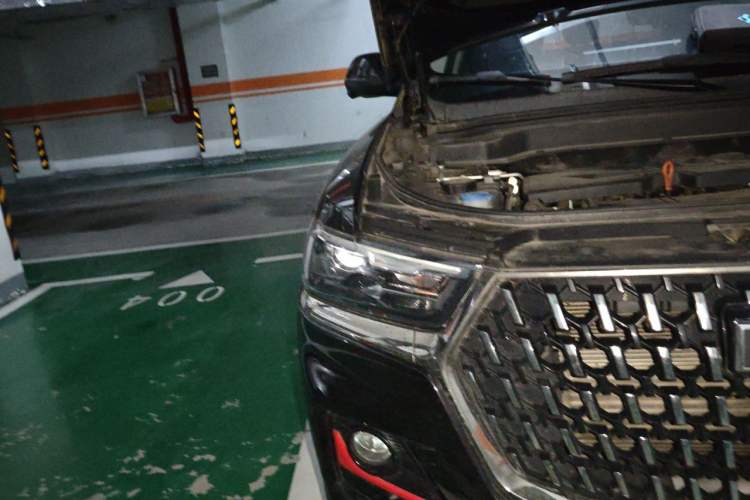 Used Haval H6 2021 China Trend Edition 1.5 GDIT Automatic Champion Version Right Front Headlight