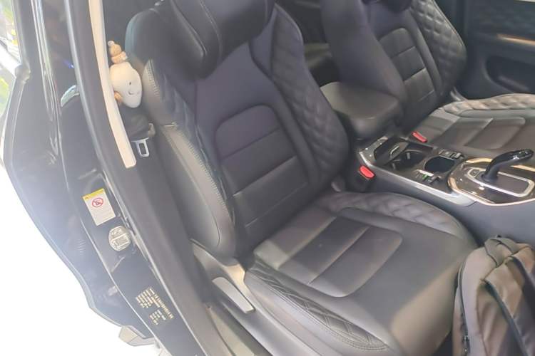 Used Haval H6 2021 1.5T Automatic Urban Edition Right Front Seat