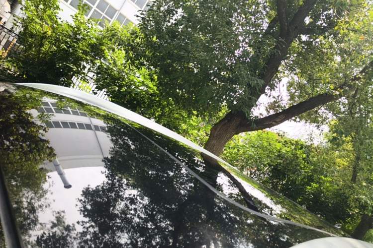 Used Haval H6 2021 1.5 GDIT Automatic Luxury Edition Roof