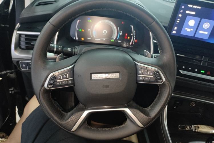 Used Haval H6 2021 National Trend Edition 1.5T Automatic Champion Version Steering Wheel