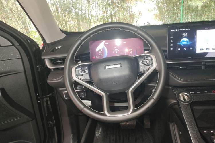 Used Haval H6 2021 3rd Generation 2.0T Automatic Two-Wheel Drive Max Steering Wheel