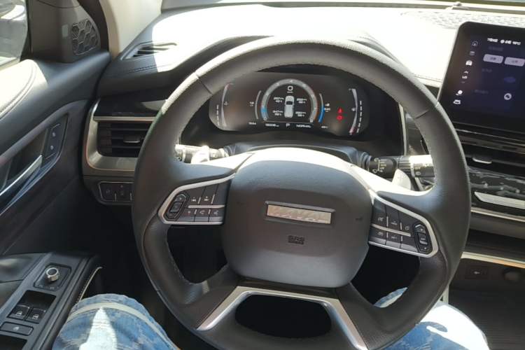 Used Haval H6 2021 National Trend Edition 2.0 GDIT Automatic Champion Version Steering Wheel
