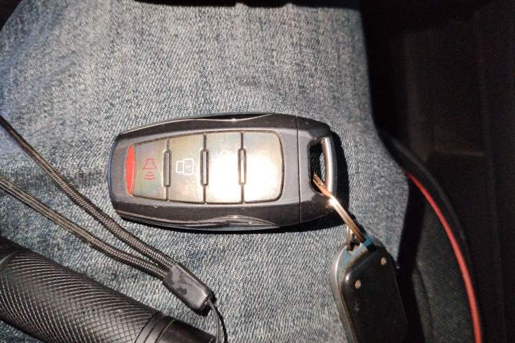 Used Haval H6 2021 China Trend Edition 1.5 GDIT Automatic Champion Version Vehicle Key