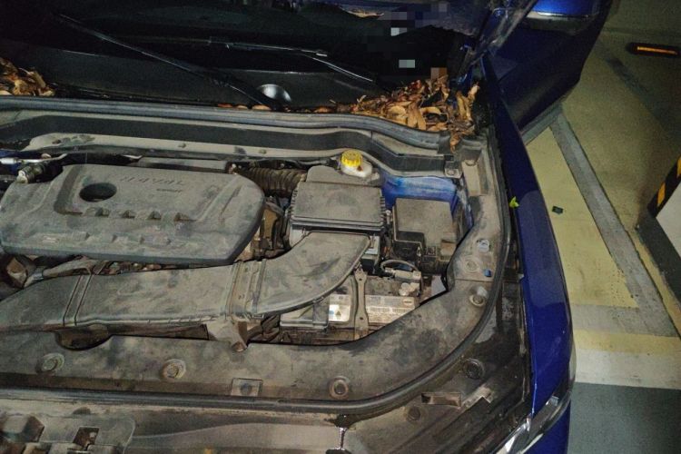 Used Haval H6 2021 2.0 GDIT Automatic Champion Edition Engine Bay Left