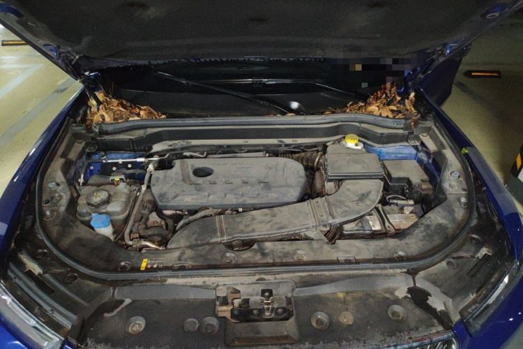 Used Haval H6 2021 2.0 GDIT Automatic Champion Edition Engine Bay