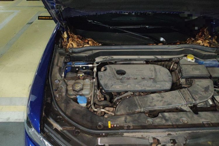Used Haval H6 2021 2.0 GDIT Automatic Champion Edition Engine Bay Right