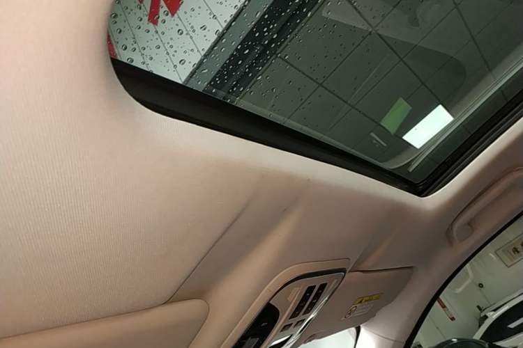 Used Haval H6 2021 1.5T Automatic Urban Edition Headliner