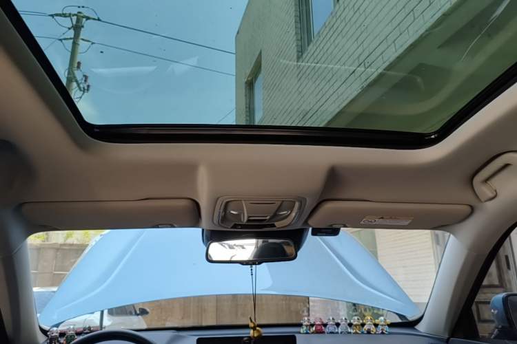 Used Haval H6 2021 3rd Generation 1.5T Automatic Two-Wheel-Drive Supreme Headliner