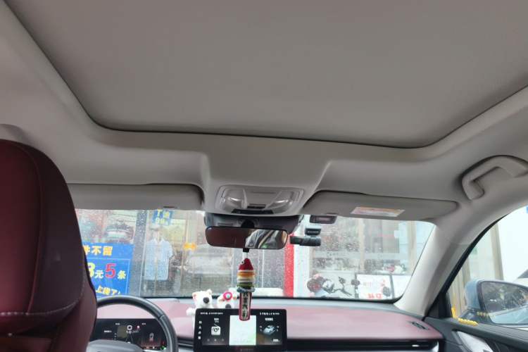 Used Haval H6 2021 3rd Generation 2.0T Automatic Two-Wheel Drive Max Headliner