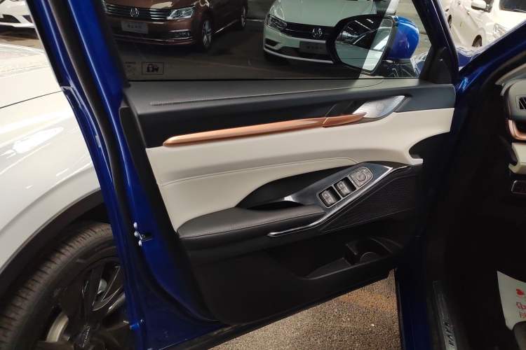 Used Haval H6 2021 3rd Generation 2.0T Automatic All-Wheel Drive Supreme Left Front Door Interior
