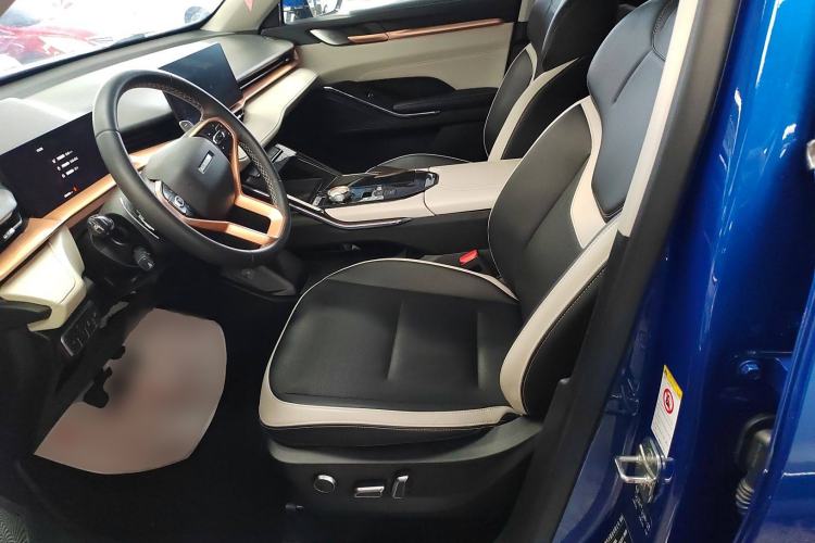 Used Haval H6 2021 3rd Generation 2.0T Automatic All-Wheel Drive Supreme Left Front Seat