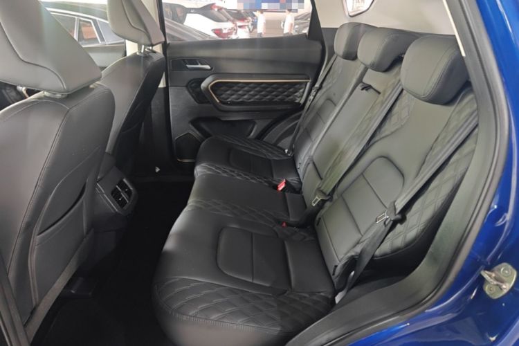 Used Haval H6 2021 1.5T Automatic Champion Edition Left Rear Seat
