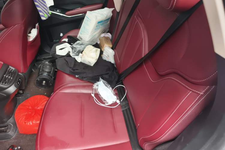 Used Haval H6 2021 3rd Generation 2.0T Automatic Two-Wheel Drive Max Left Rear Seat