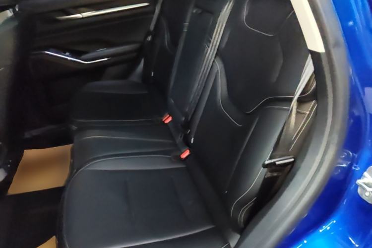 Used Haval H6 2021 3rd Generation 2.0T Automatic Two-Wheel Drive Max Left Rear Seat