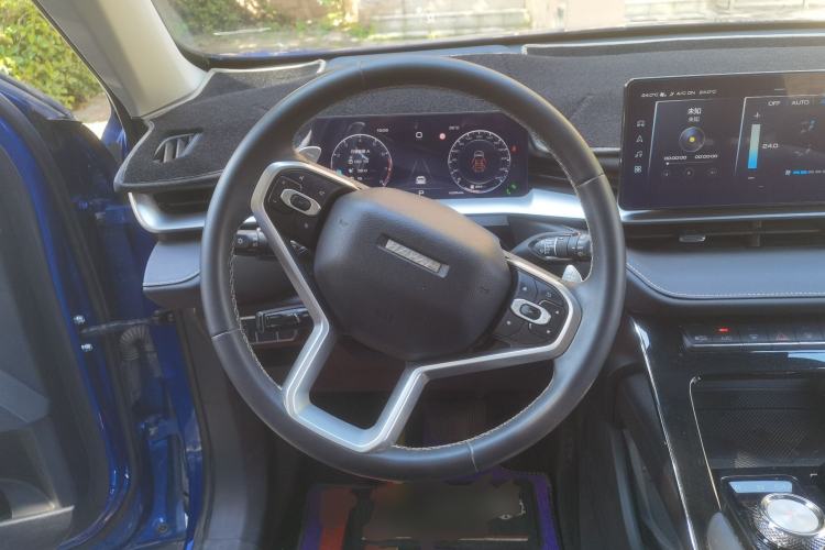 Used Haval H6 2021 3rd Generation 2.0T Automatic Two-Wheel Drive Max Steering Wheel