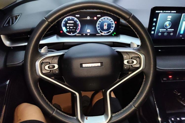 Used Haval H6 2021 3rd Generation 2.0T Automatic Two-Wheel Drive Max Steering Wheel