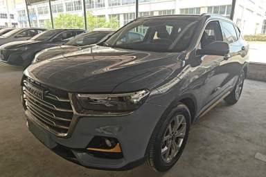 Used Haval H6 2021 National Trend Edition 1.5T Automatic Champion Version