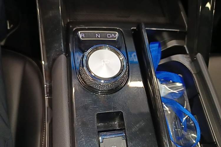 Used Haval H6 2021 3rd Generation 2.0T Automatic Two-Wheel Drive Max Gear Lever