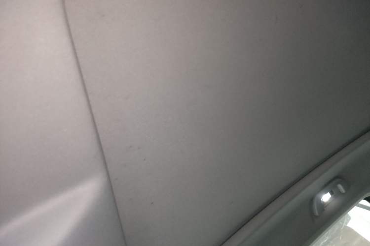 Used Haval H6 2021 3rd Generation 1.5T Automatic Two-Wheel Drive Pro Headliner