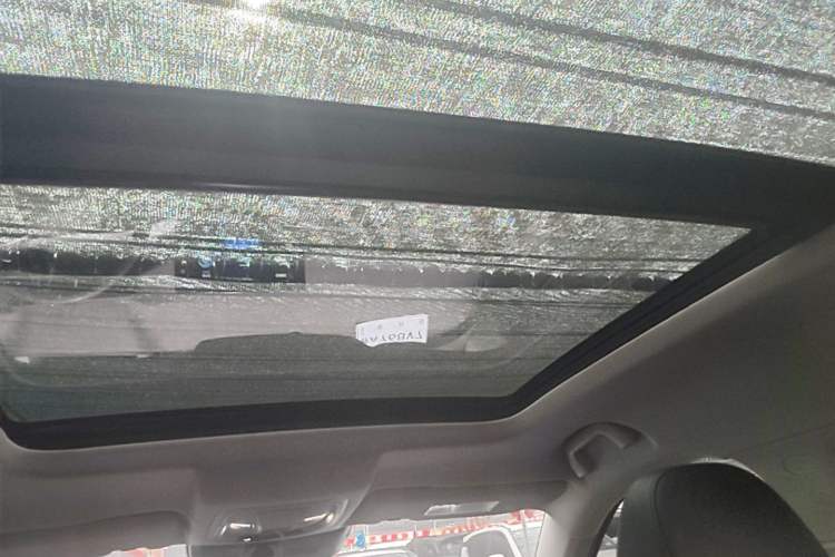 Used Haval H6 2021 3rd Generation 2.0T Automatic Two-Wheel Drive Max Headliner