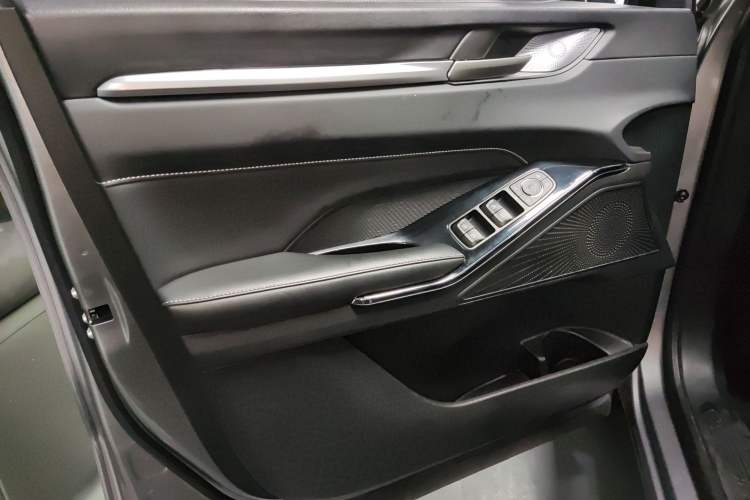 Used Haval H6 2021 3rd Generation 2.0T Automatic Two-Wheel Drive Max Left Front Door Interior