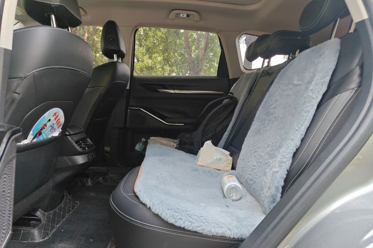 Used Haval H6 2021 3rd Generation 1.5T Automatic Two-Wheel Drive Pro Left Rear Seat